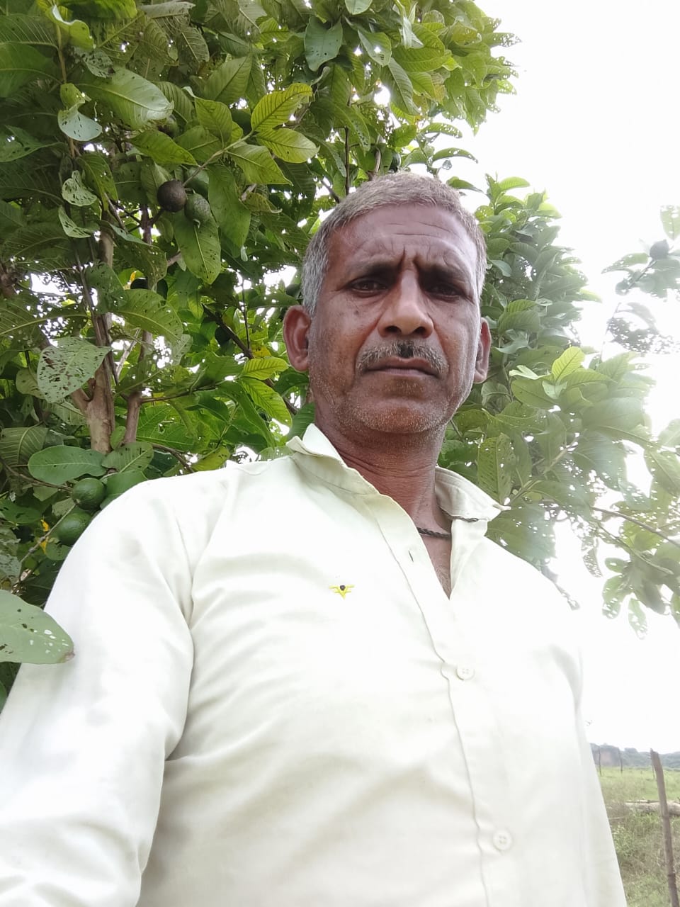 Vijay pratap